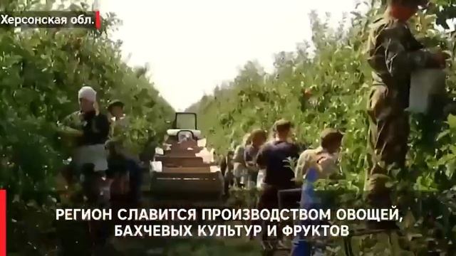 Что будет когда пройдут референдумы смотреть онлайн