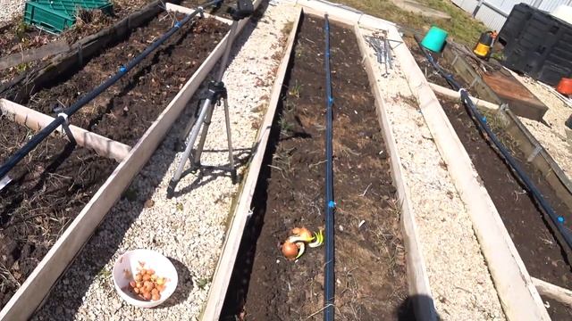 Дачный влог. Обработка сада весной от болезней. Как я сажаю лук и обрезаю гортензию. смотреть онлайн