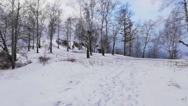 Cкала Арка, Торгашинский хребет, Красноярск. Или привычные вещи с другого ракурса. смотреть онлайн