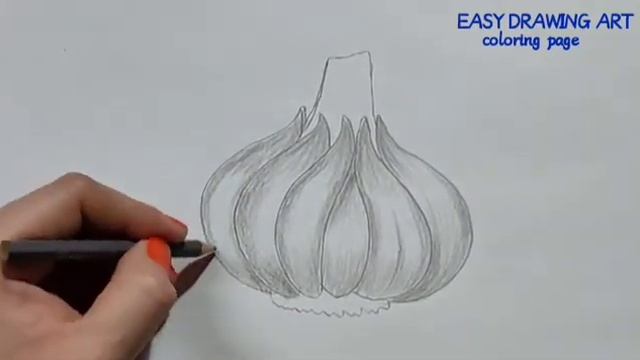 how to draw garlic easy drawing || garlic drawing & coloring page for kids смотреть онлайн