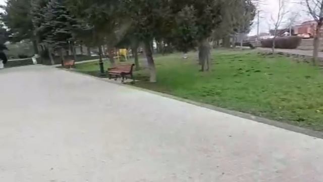 #староминская
убираем лишайник с деревьев смотреть онлайн