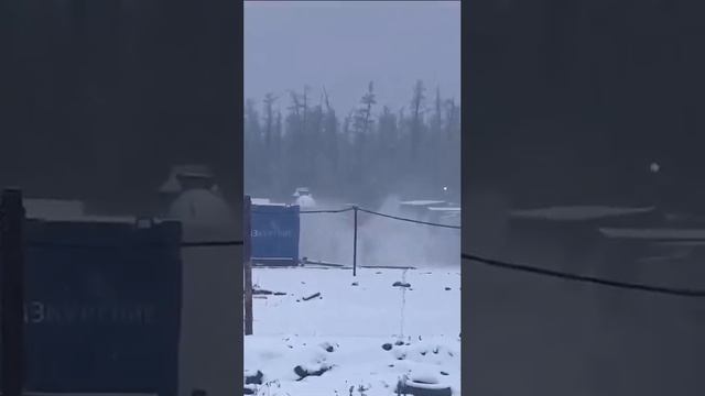 медведь рвёт вахтовика. смотреть онлайн