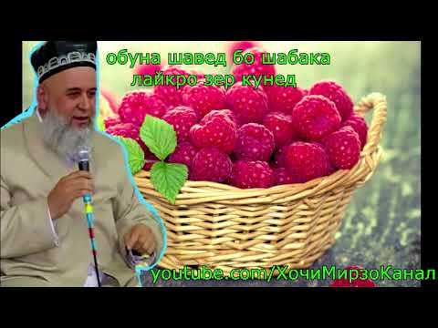 ХОЧИ МИРЗО- Бадбинии Хамдигар