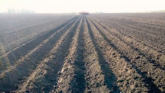 Посадка картофеля сорт "Гала" сожалка GRIMME 08.05.2019. Весноспашка. смотреть онлайн