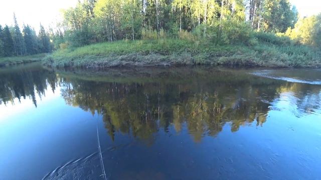 Ловим ХАРИУСА на спиннинг. Покоряем лесную речку на водомёте. 8 часть смотреть онлайн
