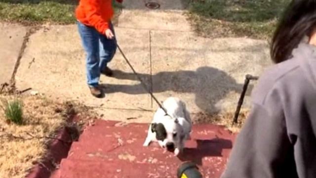 В новом доме хозяева услышали странный звук из подвала. Увиденное потрясло их! смотреть онлайн