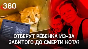 Замучившую до смерти кота Кузю пару могут лишить родительских прав. Что вытворяли живодеры