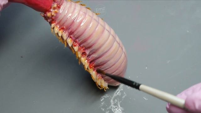 Monster BLOODWORM'S REVENGE, Diorama, Polymer Clay, Resin смотреть онлайн