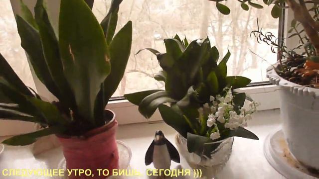 РАСХЛАМЛЕНИЕ//РУМ-ТУР//ШКАТУЛКА//РАБОЧИЙ СТОЛ// и т.д.)) смотреть онлайн