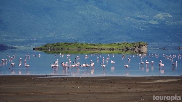 10 Best Countries To Visit In Africa - Travel Video