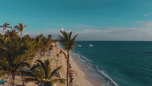 Море и пальмы Релакс Sea and palm trees Relax смотреть онлайн