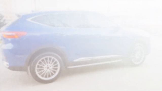 Haval F7 Tech Plus. Широкие диски с широкими шинами 255/50/R19.