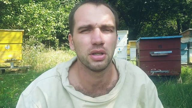 ЦЕНА НА МЁД РОЗНИЦА/ОПТ. 2022год.Когда формировать гнездо в зиму. смотреть онлайн
