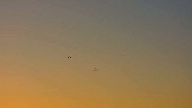 Я сидела между парнями и всё понимала… смотреть онлайн