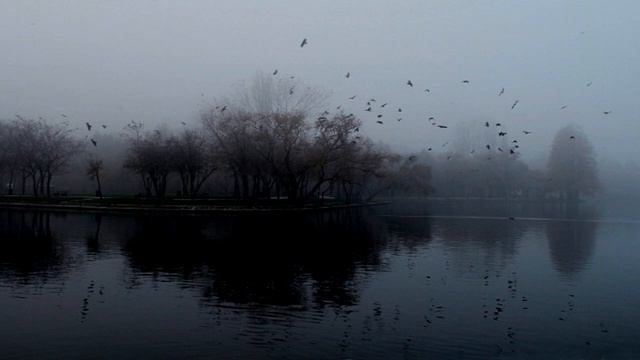 SCP-3351 Future Days [Euclid] смотреть онлайн