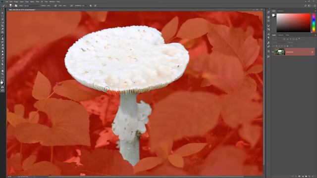 Photoshop | Quick Mask Mode смотреть онлайн