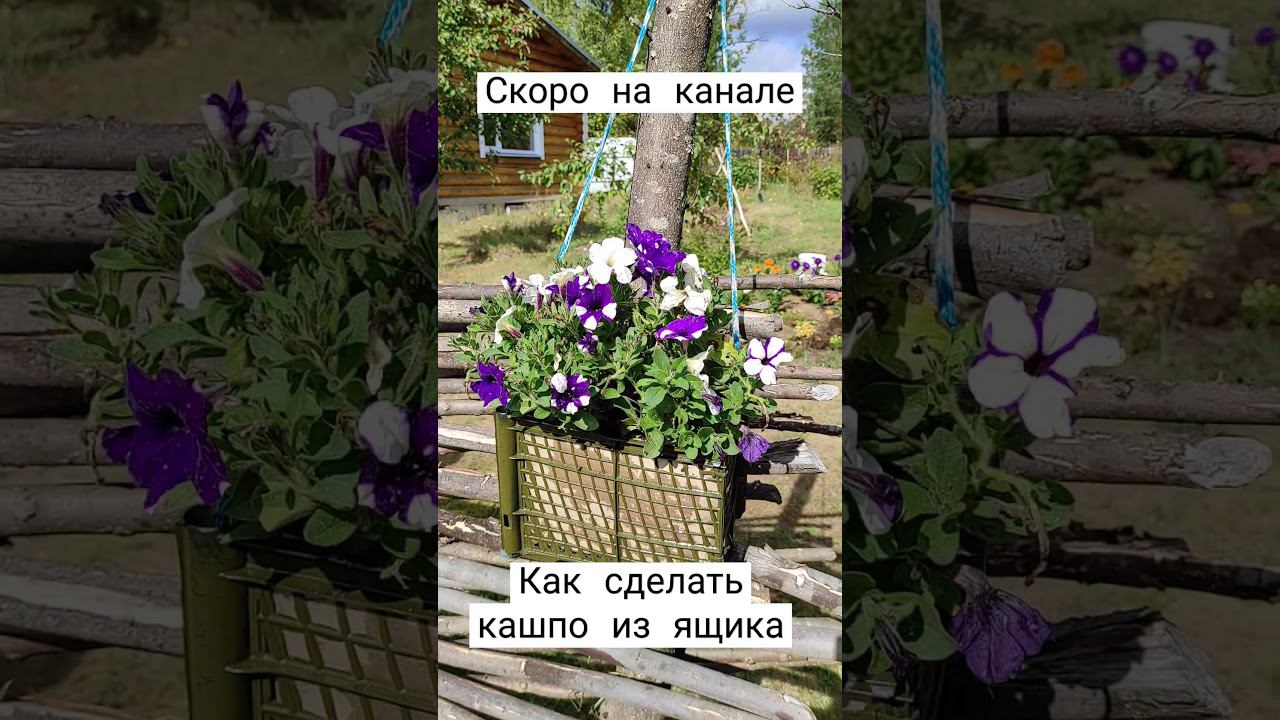 Кашпо из пластикового ящика смотреть онлайн