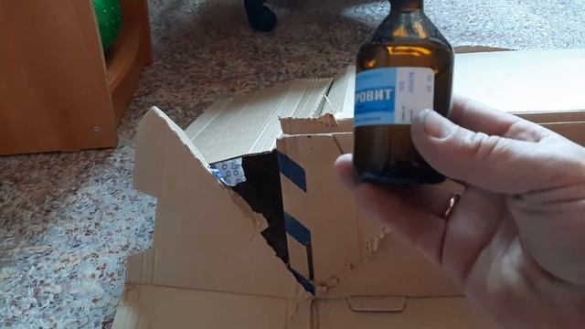 Разведение перепелов от А до Я смотреть онлайн