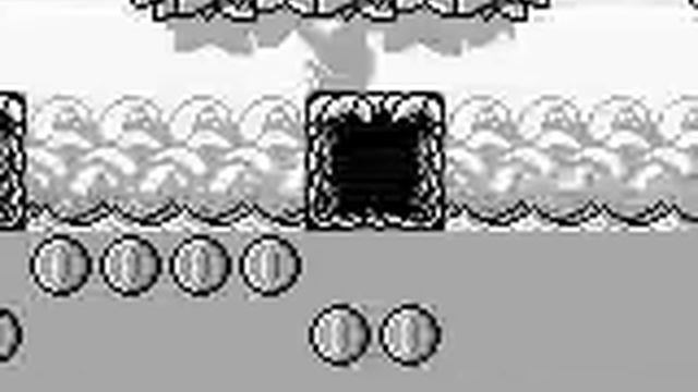 Super Mario Land 3: Wario Land TAS By Greenalink (29:24.77)