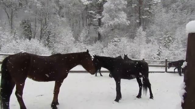 Февральский сказочный снегопад смотреть онлайн