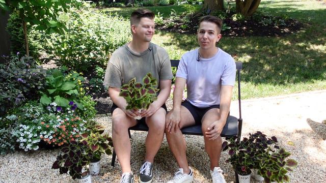 Everything Coleus | Gardener in Love смотреть онлайн