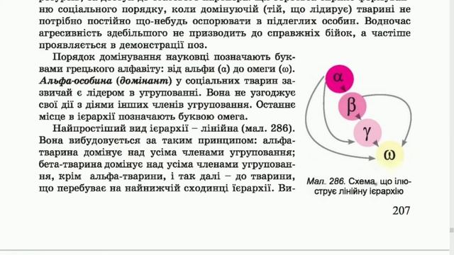 §48. Соціальна поведінка. Типи угруповань тварин, біологія, 7 клас смотреть онлайн