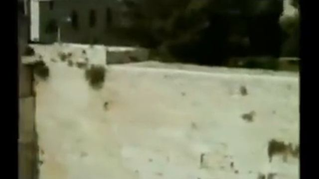 YouTube Mordechai Ben David MBD Shema Yisrael смотреть онлайн