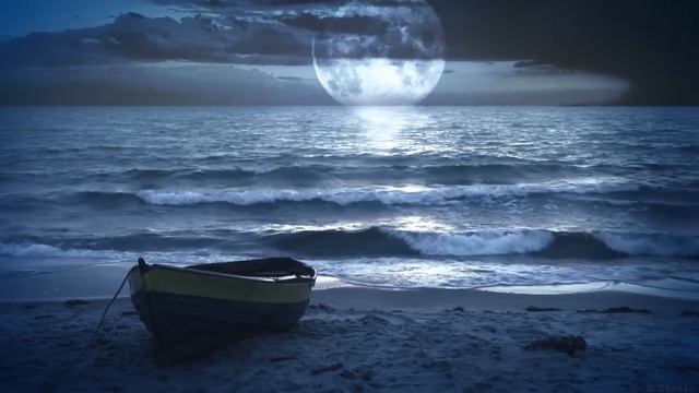 Ocean Sounds And Forest Nature Sound: Meditation, Sleep