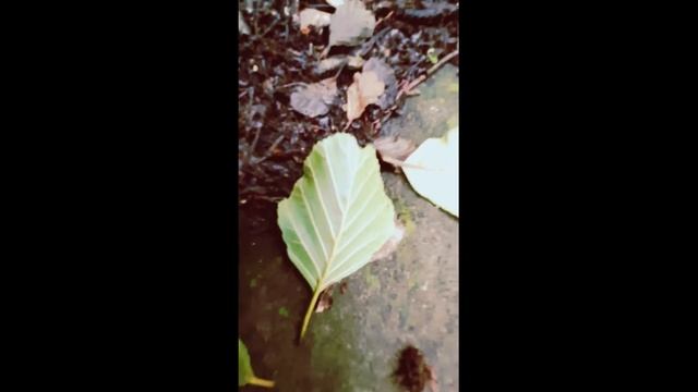 Проснись... 3 минуты присутствия смотреть онлайн