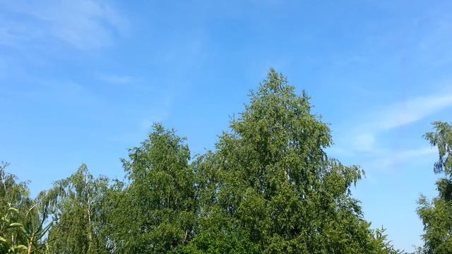 Turkish Stars Poznan Aerofestival 2015 смотреть онлайн