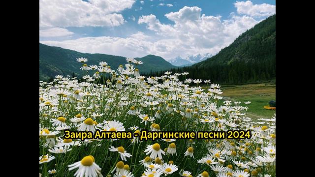 Заира Алтаева - Даргинские 2024 смотреть онлайн