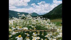 Заира Алтаева - Даргинские 2024