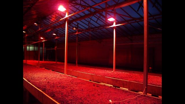 Обогрев теплицы инфракрасным обогревателем