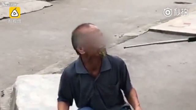 LiveLeakcom Thief eats shit to prevent from being arrested смотреть онлайн