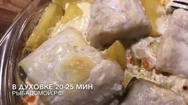 Наука о Здоровье и Жизни