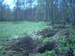 Glin_2017.mp4