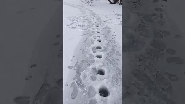 Результат работы Ледобура ЭБА 30