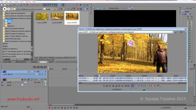 Урок 17. Использование триммера в программе Sony Vegas смотреть онлайн