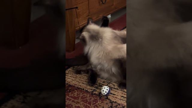 не до игр когда смотреть онлайн