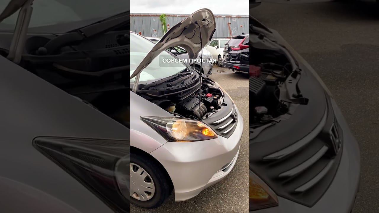 2009 HONDA FREED смотреть онлайн