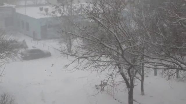 Зима. Идёт снег. 23.01.18 смотреть онлайн