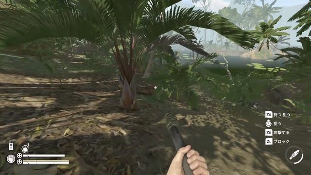ラムダ2に到達したけど雨降らなくなった【Green Hell】Switch смотреть онлайн