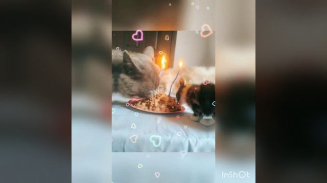 🥳С Днём рождения🥰! Космос тебе🥳 уже 3 года🥰 ! смотреть онлайн
