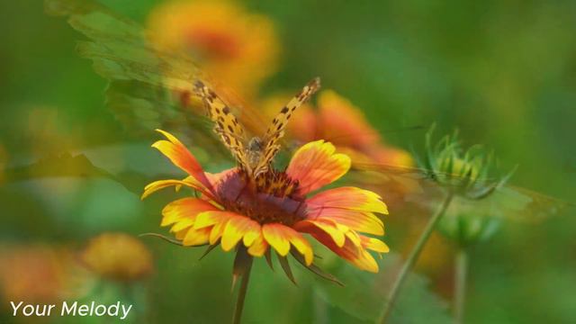 Лучшая музыка поможет снять усталость от стресса🌿успокоит нервную систему🌿#5 смотреть онлайн