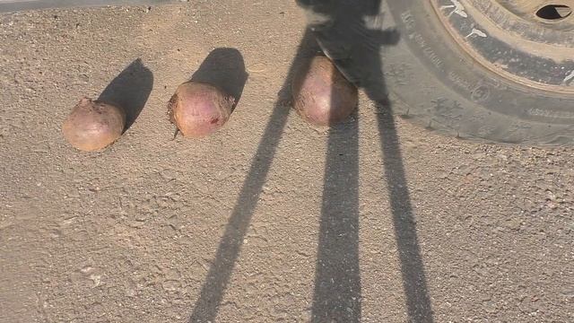 эксперименты машина Vs желе предмет игрушкиCrushing Crunchy  & Soft Things By Car! EXPERIMENT