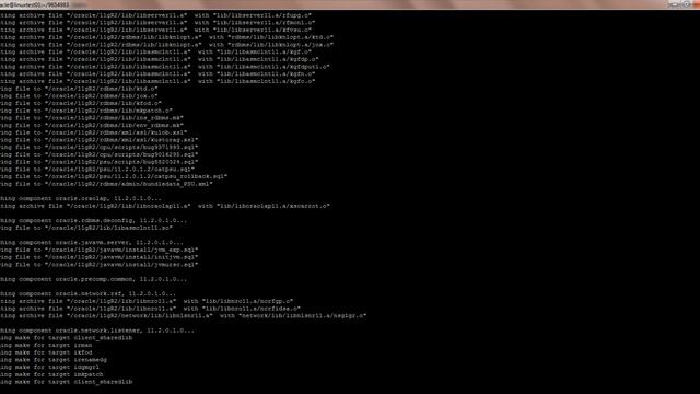 Example: Patch 9654983 - 11.2.0.1.2 Patch Set Update смотреть онлайн