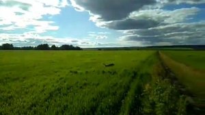 Бег по траве