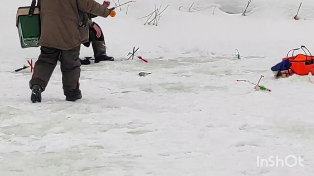 3 февраля 2024 г. смотреть онлайн