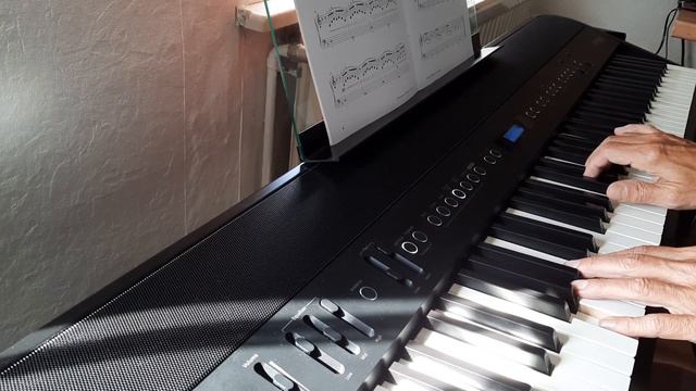 Misty Day Daniel Hellbach auf Roland FP-90X смотреть онлайн