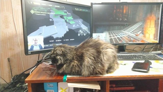 Кошка лежит спит на рабочем столе, на двух мониторах идёт игра Doom Eternal, Часть 2 смотреть онлайн